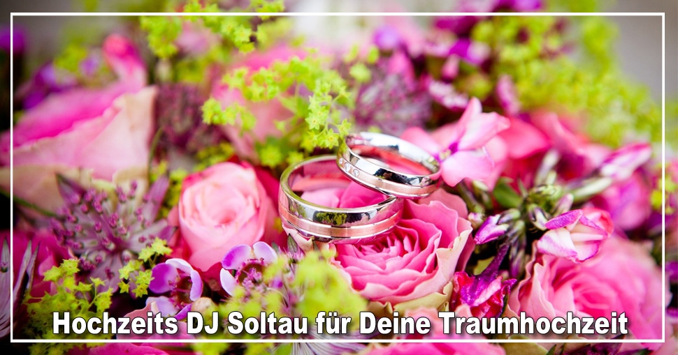 Hochzeits DJ Soltau