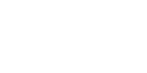 BVD_Logo