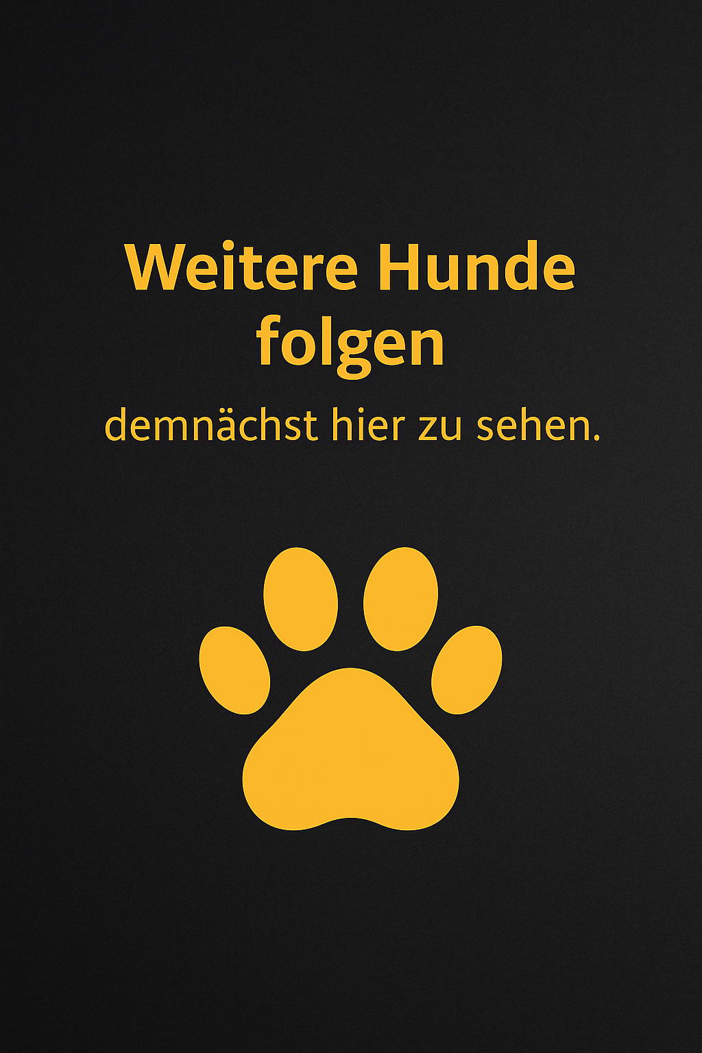 Weitere gerettete Hunde folgen bald