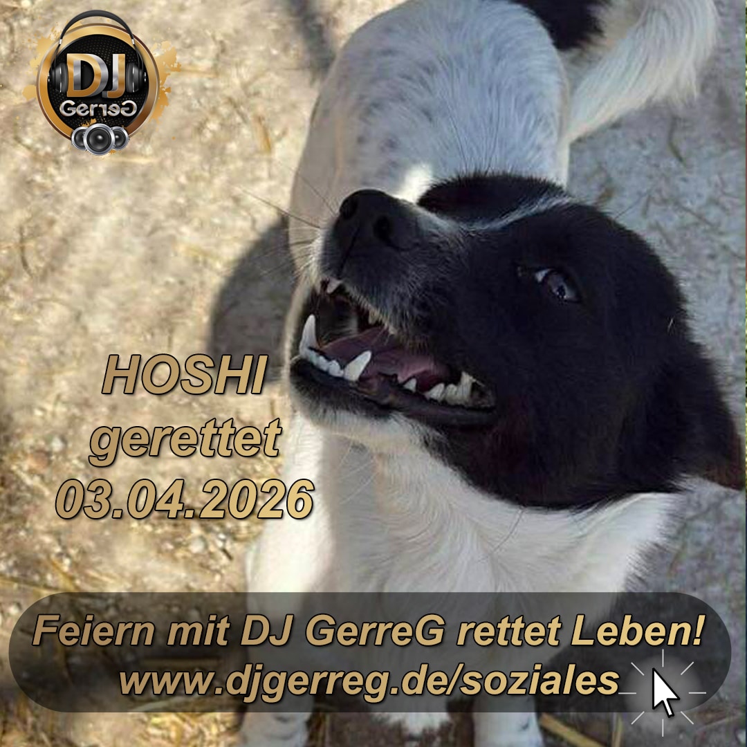 HOSHI rescued from the killing center - An Easter miracle